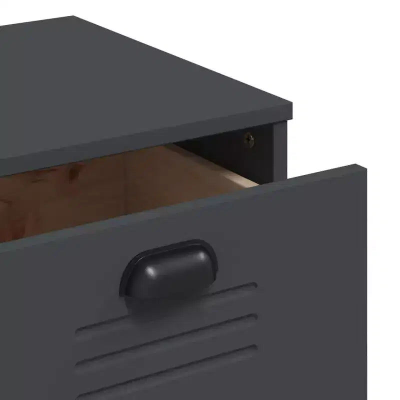 Meuble de Rangement à Tiroirs pour Salon en Pin Massif